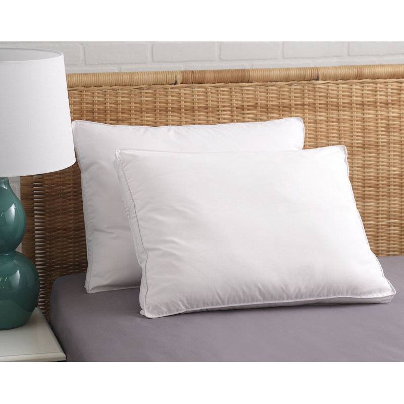 Oreiller moelleux en duvet synthétique Aylin PureAssure, Standard