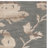 Coleman Hand Tufted Wool Floral Rug-22985312