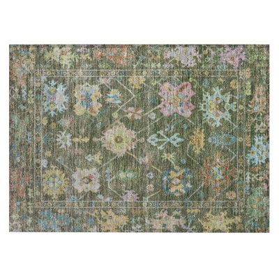 Machine Washable Indoor/Outdoor Leavittsburg ACN2234 Global Rug