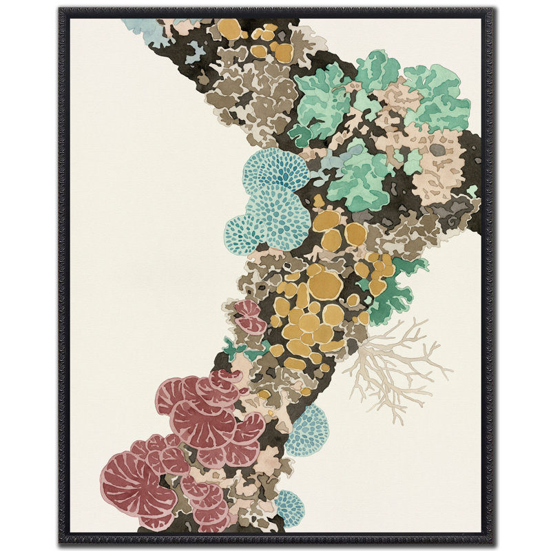 Fungi Forms I Canvas Wall Art