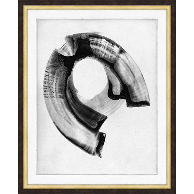 Oculus 1 Print by Thom Filicia