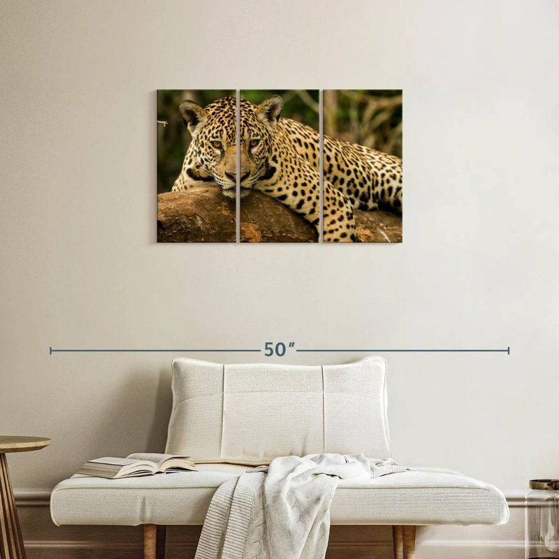 Brampt Intense Jaguar Gaze, 20" H x 33" W