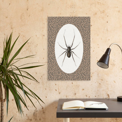 Spider Abstract Contemporary Wall Art
