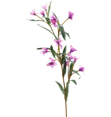 Spike Flower Arrangement