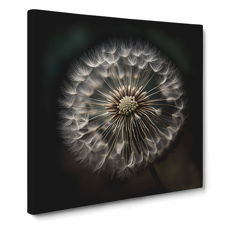 Dandelion Photograph - Print, 50cm H x 50cm W x 3cm D