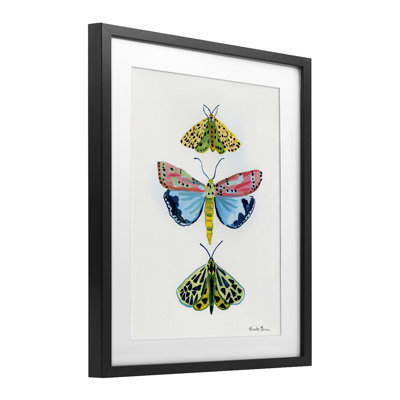 Bright Moths Trio Framed Print Under Glass, design by Farida Zaman