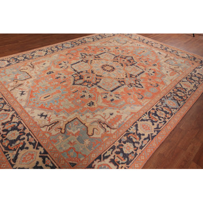 Vegetable Dye  Oriental Area Rug 9x12