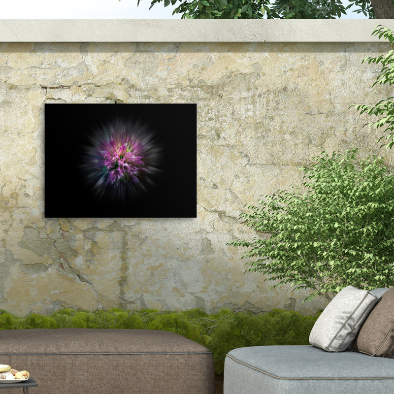 «Ologia 53 »sur toile, H 18 po x l 24 po