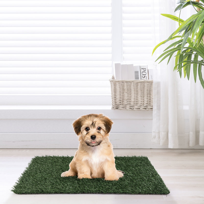 Ensemble de deux grands tapis d'urine pour animaux de compagnie avec gazon artificiel réaliste pour les soins dans divers environnements intérieurs comme les appartements et les patios Facile à utiliser pour former les animaux de compagnie Aucun assemblage Longue durée de vie remplaçable