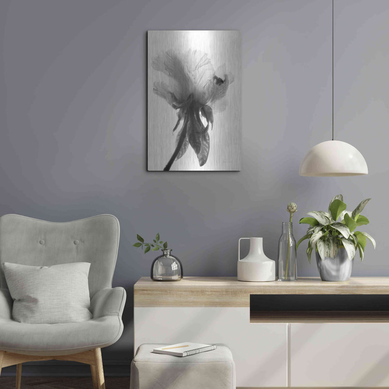 "Pivoine translucide VIIBW" par Debra Van Swearingen, H 24 po x l 16 po