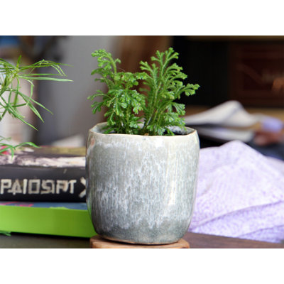 Jewel Teacup Planter - 4.0" L x 4.0" W x 4.0" H (Single Pot) (4" W x 4" H) Mini Glazed Ceramic - Indoor Outdoor