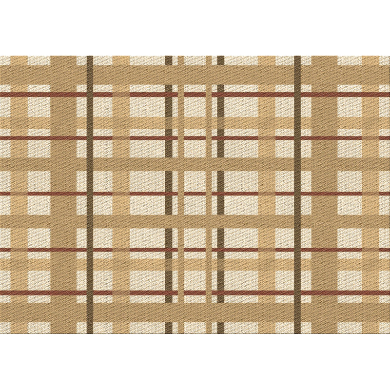 Plaid Indoor Rug, Rectangle 2' x 4'