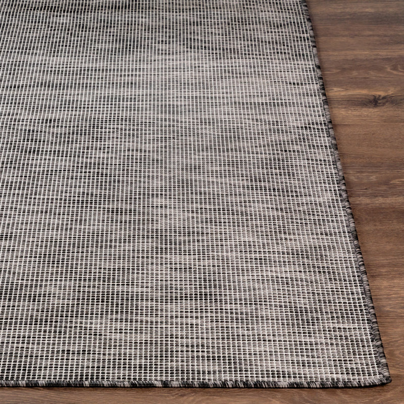 Orman Indoor / Outdoor Rug, Rectangle 2'6" x 4'