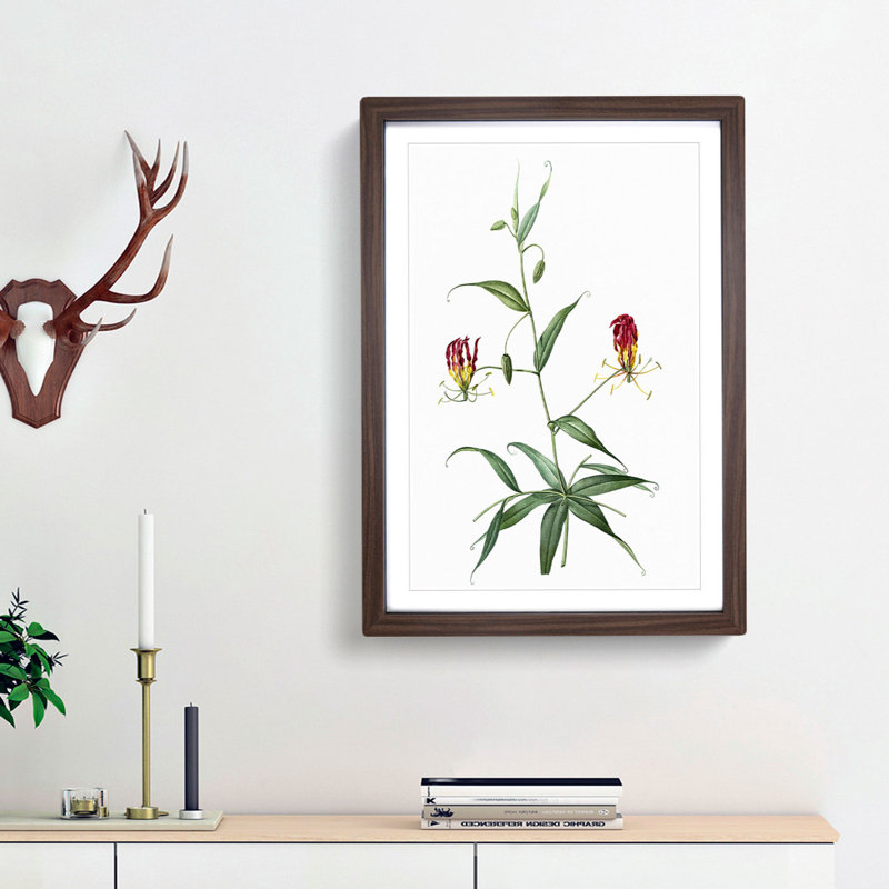 Flame Lily Flowers by Pierre-Joseph Redoute - Picture Frame Art Print, 36cm H x 27cm W x 2cm D, Walnut Framed