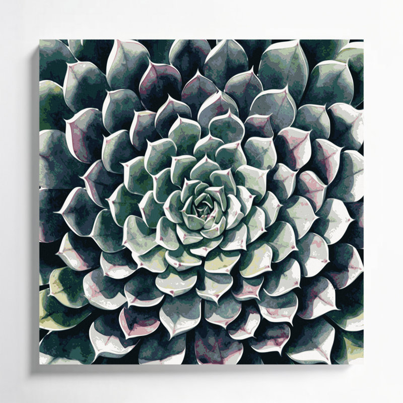 Art mural sur toile Botanical Echeveria, H 32 po x l 32 po