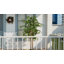 Ficus artificiel en figuier blanc en pot décoratif, plante artificielle réaliste avec bois naturel multi-troncs pour la décoration de bureau personnel-658401131