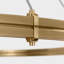 Paxton 10 - Light LED Chandelier-1306559047