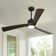 Karlena 60'' Modern Large Dimmable Ceiling Fan with Led Light and Remote
