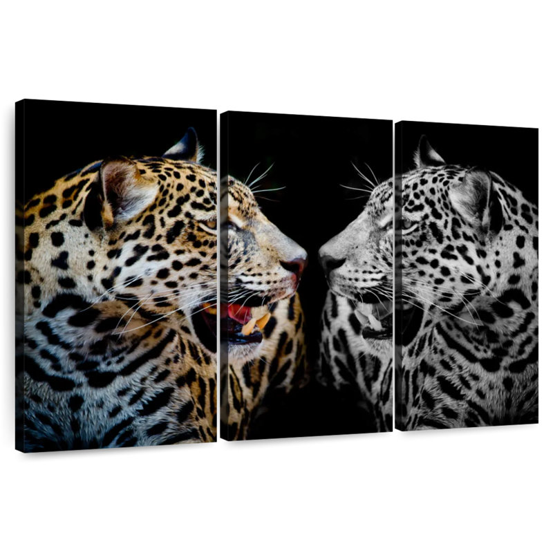 Brampt Jaguar réflexion, H 28 po x l 45 po