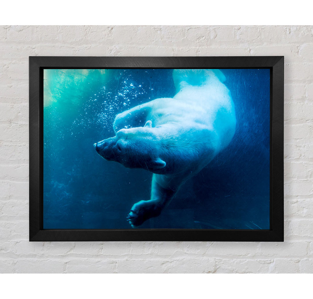 Gerahmtes Poster Polar Bear Swimming