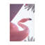 Art sur toile «Bolingo», Las Vegas Flamingo Studio III-103103880