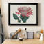 Protea N17 - Peinture sur toile encadrée-909417600-909417607