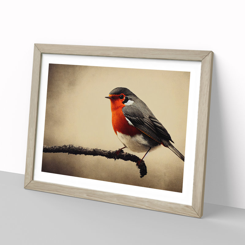 Beautiful Robin Bird - Single Picture Frame Print, 34cm H x 46cm W x 2cm D, Oak Frame