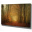 « early light », reproduction de photo-928471424-928471430