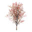 Mini lot de baies-1659593049