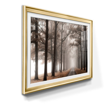 " Misty Road "