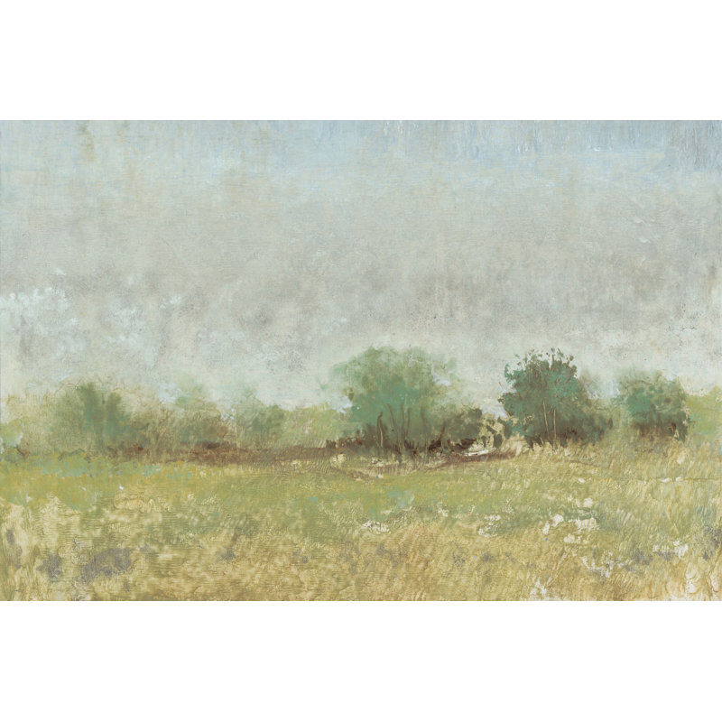 Spring Field II - Wrapped Canvas Print, 61cm H x 91cm W x 3.8cm D