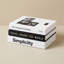 Boîte à livres décorative blanche et noire, S / 3