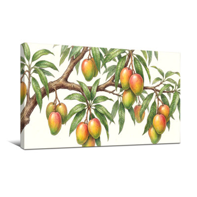 Plantes et fleurs - branche de manguier avec fruits et feuilles