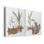 PurrfectPlants III - Toile tendue avec châssis de qualité supérieure - Prêt à être accroché