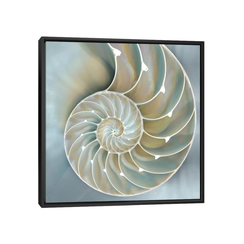 «Nautilus in Blue II», impression sur toile, H 37 po x l 37 po x P 1,5 po, Toile avec cadre noir, Pas de tapis