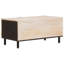 Tarquinio Coffee Table with Storage-1387527615