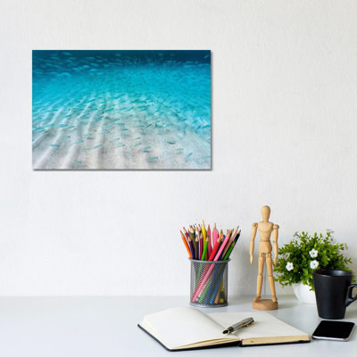 Sand Ripple Fish by Sean Davey - Gallery-Wrapped Canvas Giclée on Canvas