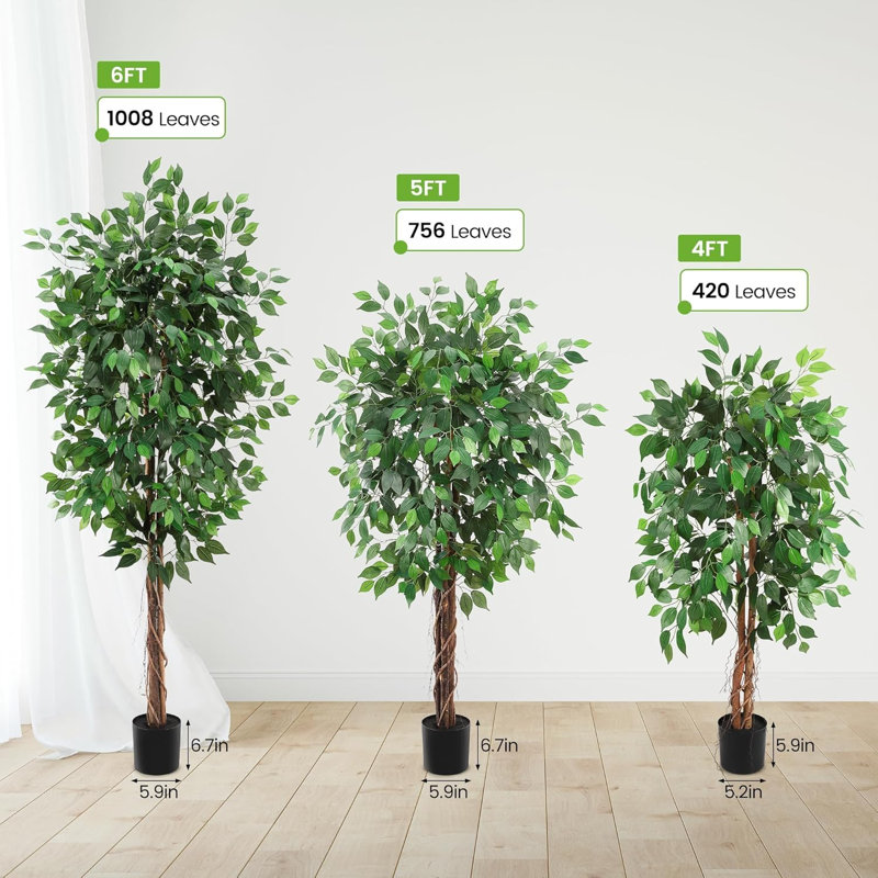Arrangement