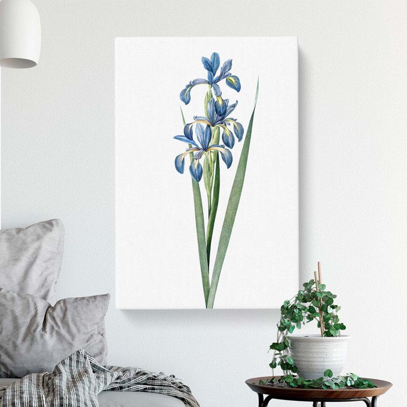 Blue Iris Flowers by Pierre-Joseph Redoute - Wrapped Canvas, 50cm H x 35cm W x 3cm D