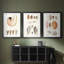 Shell Collection I - Impression sur mesure encadrée de qualité supérieure - 3 pièces-992300477-992300479