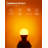RGBCW Color Changing, A21 Dimmable Smart LED Bulbs