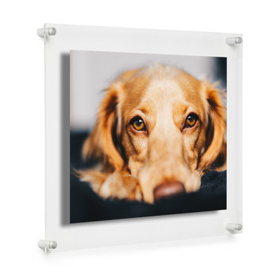 Devian Clear Acrylic Floating Picture Frame