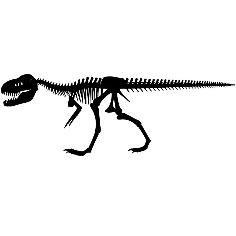 Adhésif décoratif squelette de dinosaure Alvie, H 14,5 po x l 40 po x P 0,01 po, Noir
