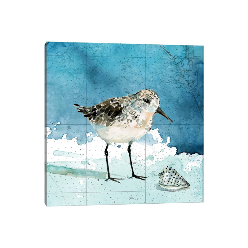 Bay Shore Sandpiper I by Carol Robinson - Print on Canvas, 93.98 cm H x 93.98 cm W x 3.175 cm D, Wrapped Canvas