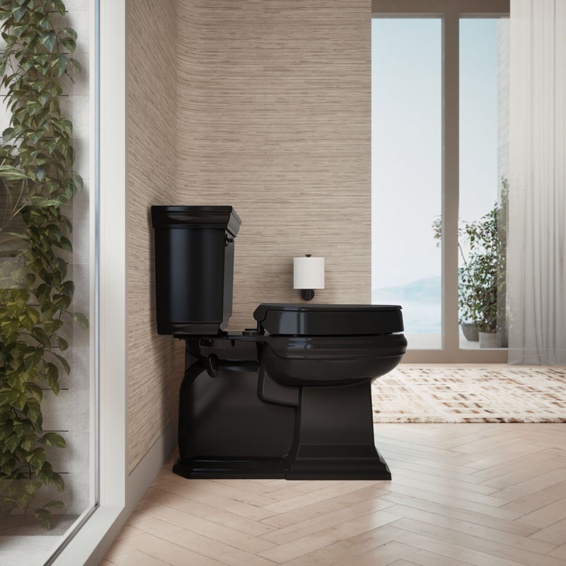 Hyten Elevated Quiet-Close Elongated Toilet Seat, Black Black