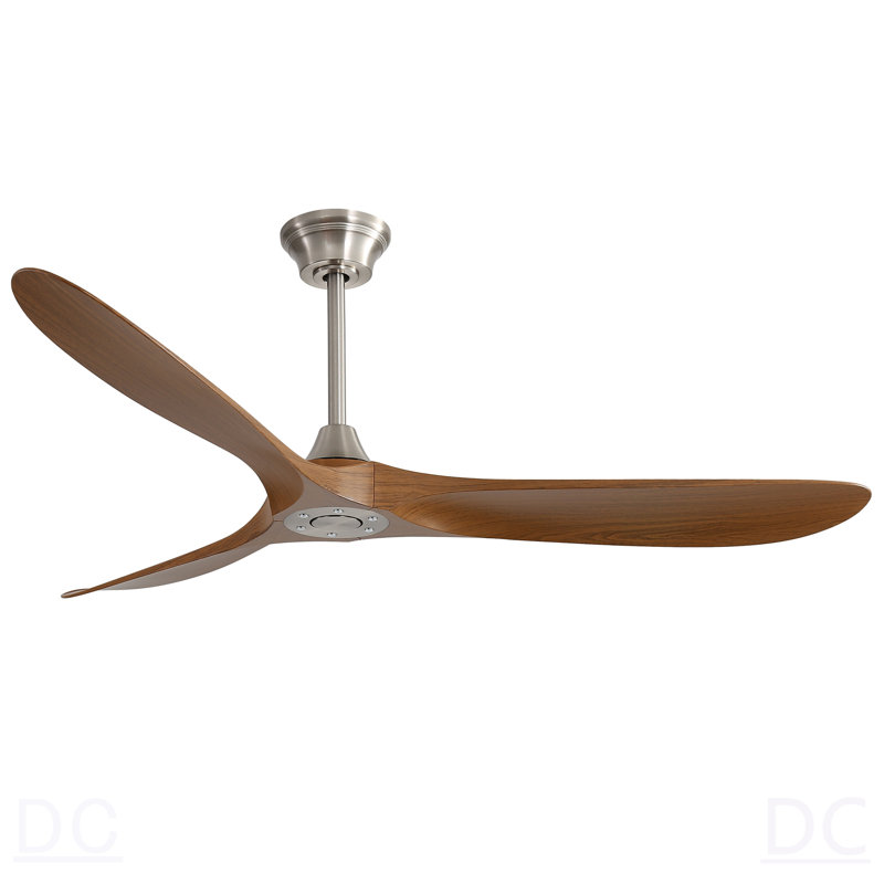 Ventilateur de plafond extérieur 60 pouces sans lumière 3 pales ABS avec commande intelligente APP