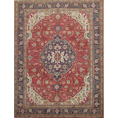 Traditional Area Rug 10x13