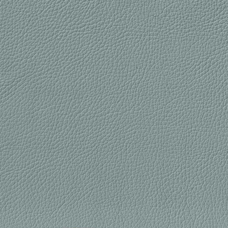 Colturo Gabia 61.5'' Genuine Leather Loveseat, Spa Blue