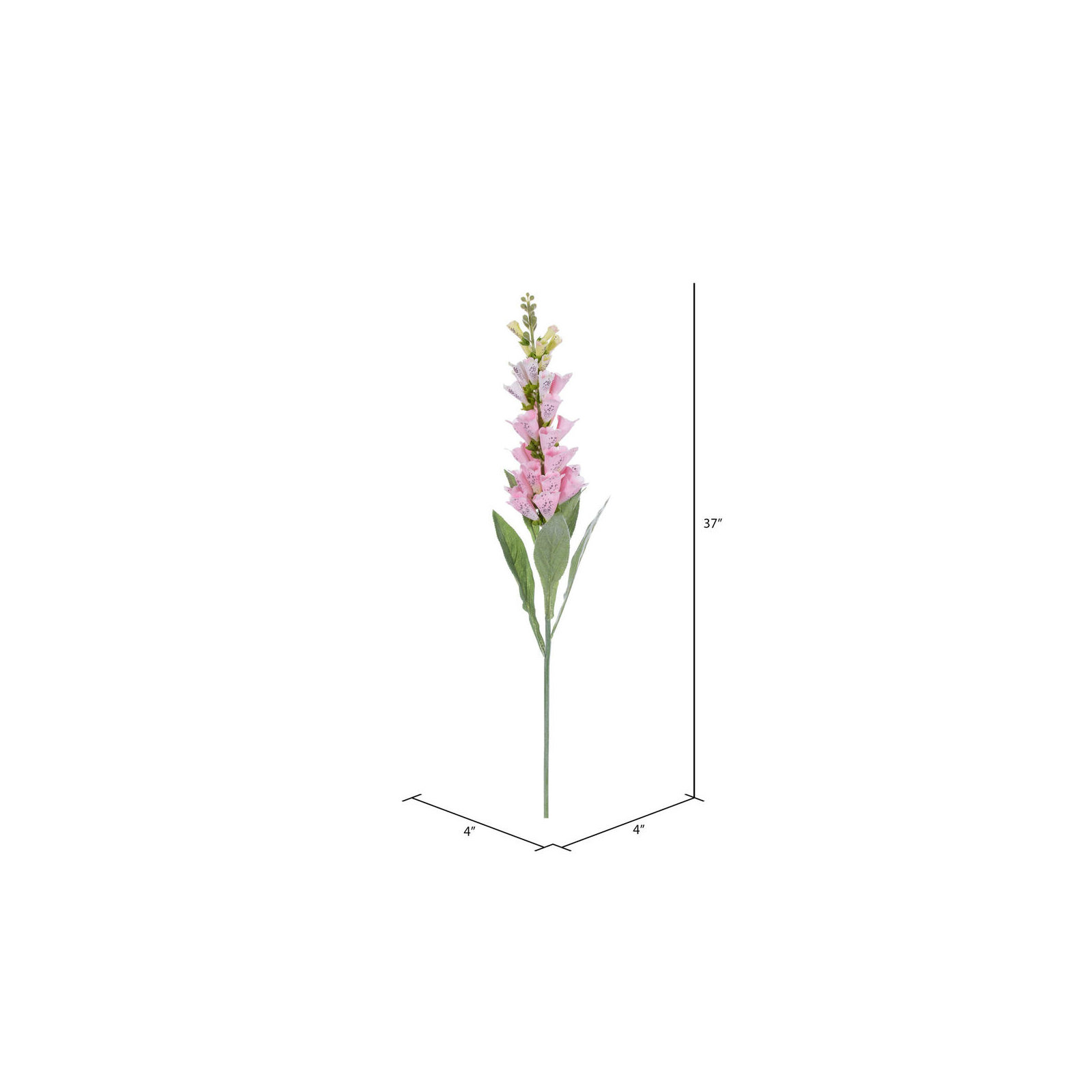 Fuchsia Stem, Pink