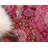 Damask Indoor Rug-927170108